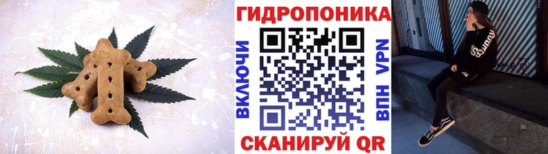 Купить где  Скопин  Canna-Cookies конопля 