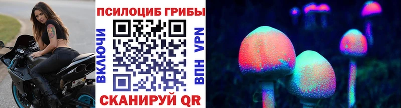 Галлюциногенные грибы Psilocybe  Купить где  Скопин 